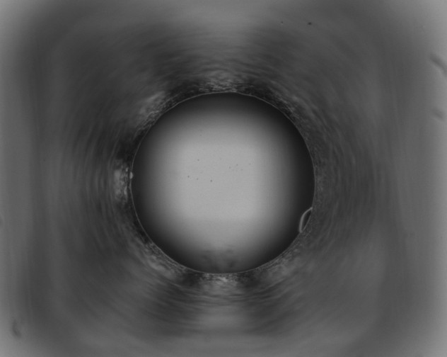 X0000093590768200710151204