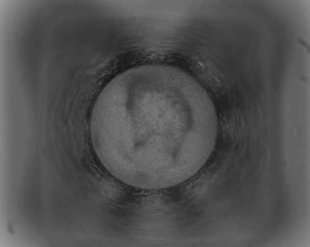 X0000093590769200710151203