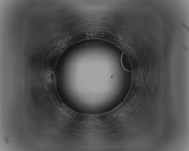 X0000093590770200710151203