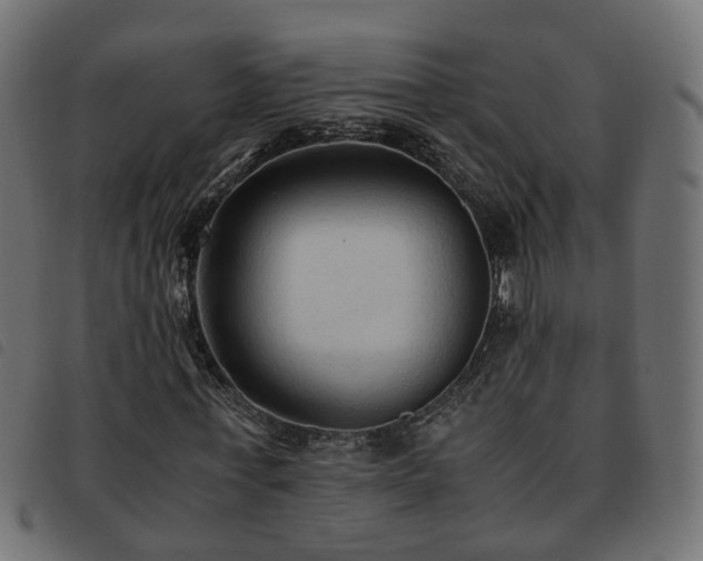 X0000093590771200710151203