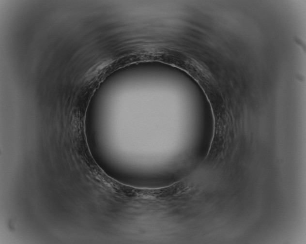 X0000093590773200710151203
