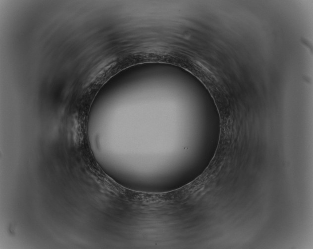 X0000093590774200710151203