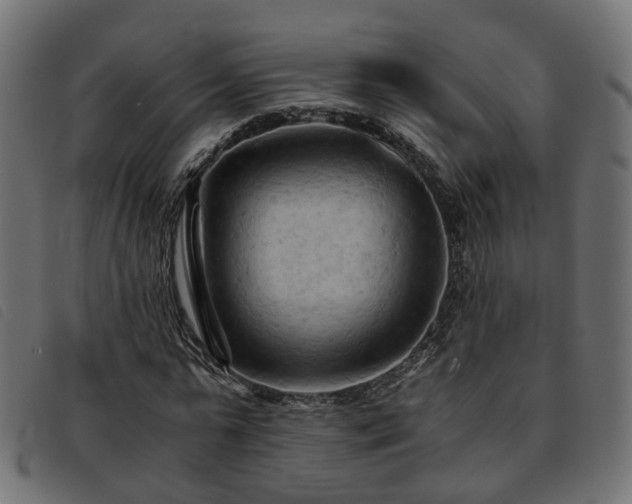 X0000093590775200710151203