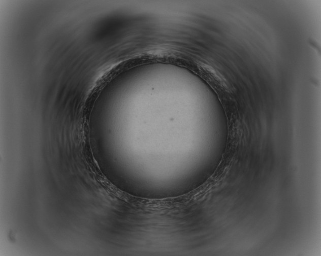 X0000093590776200710151203