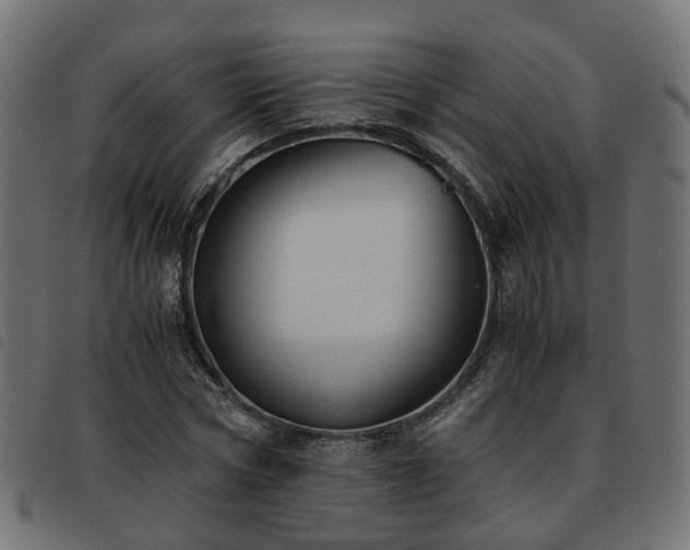 X0000093590778200710151203