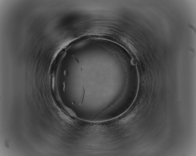 X0000093590779200710151203