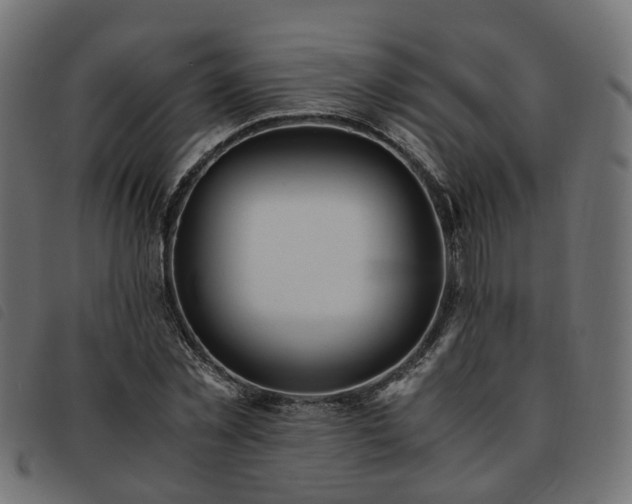 X0000093590781200710151203