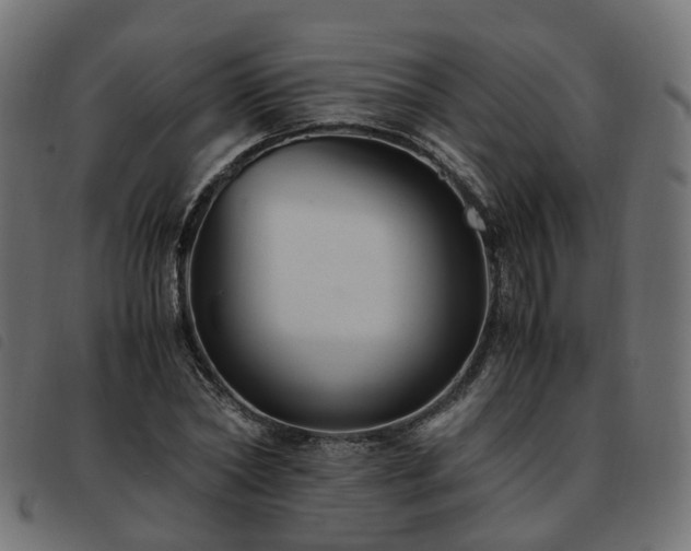 X0000093590782200710151203