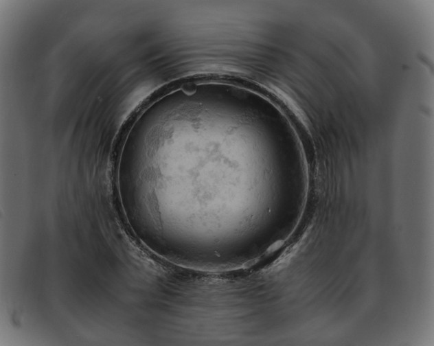 X0000093590783200710151203