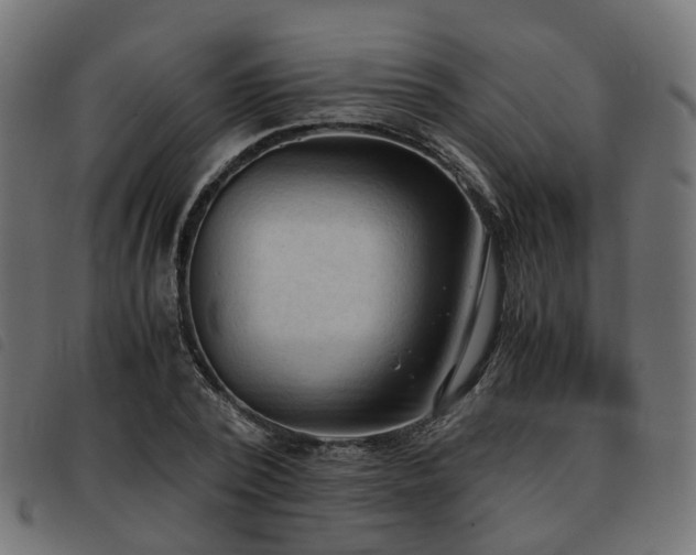 X0000093590784200710151203