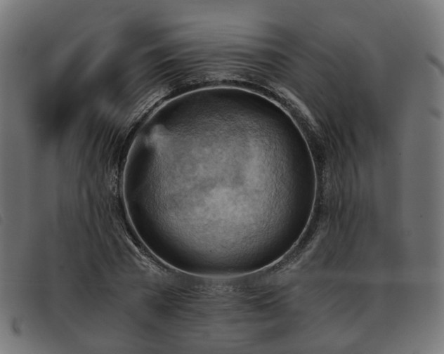 X0000093590785200710151203