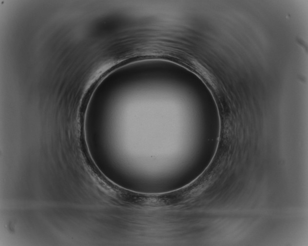 X0000093590787200710151203