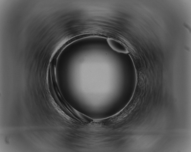 X0000093590788200710151203