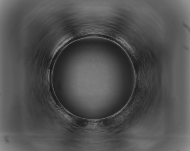 X0000093590790200710151203