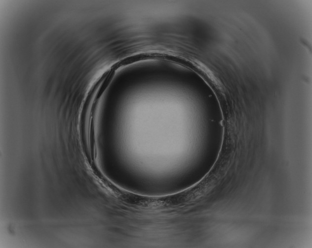 X0000093590791200710151203