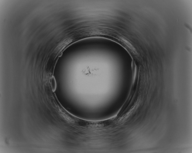 X0000093590793200710151203
