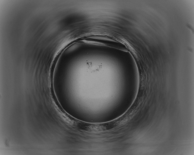 X0000093590795200710151203
