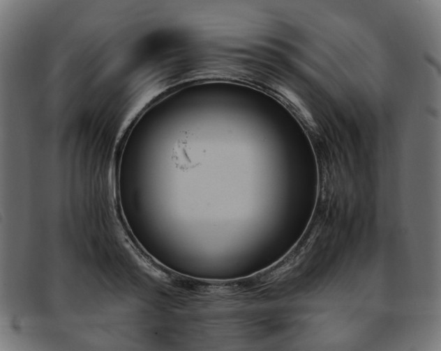 X0000093590796200710151203