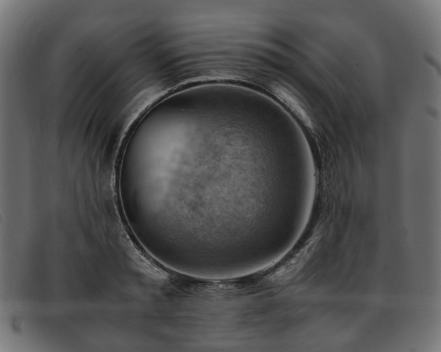 X0000093590797200710151203