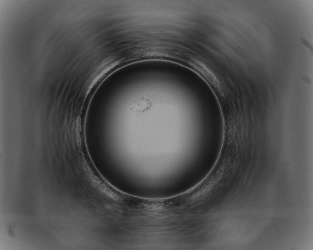X0000093590798200710151203