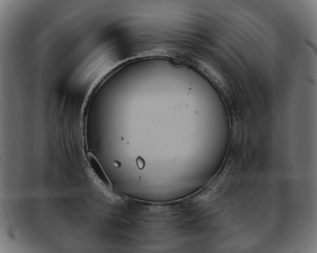 X0000093590800200710151203