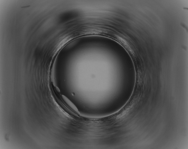 X0000093590802200710151203