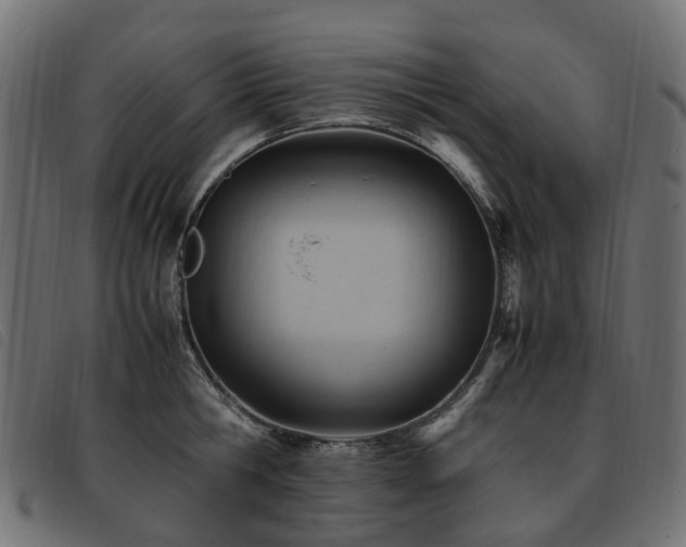 X0000093590806200710151203