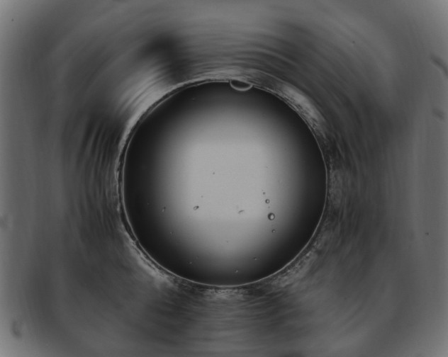 X0000093590808200710151203