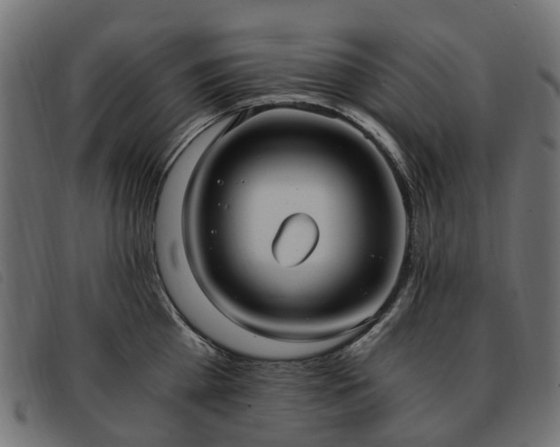 X0000093590809200710151203