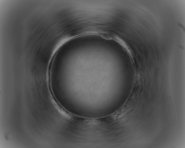 X0000093590811200710151203