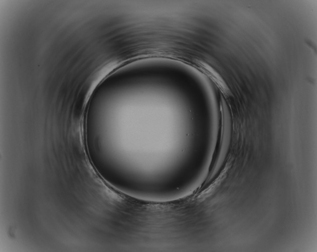 X0000093590812200710151203