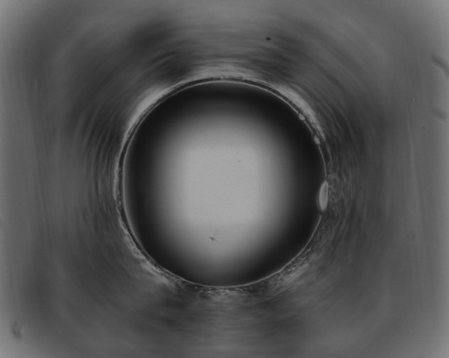 X0000093590815200710151203