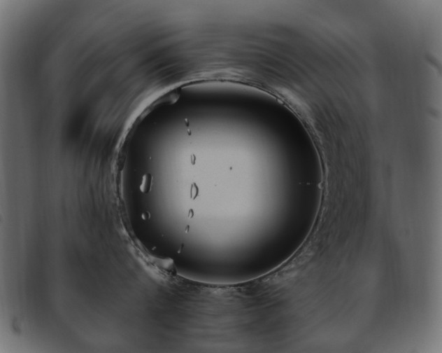 X0000093590816200710151203