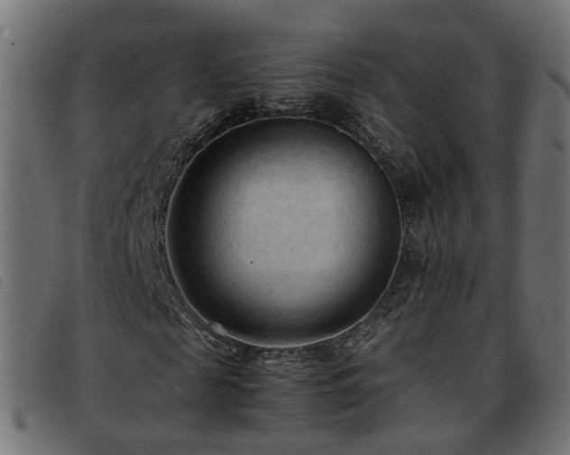 X0000093590817200710151202