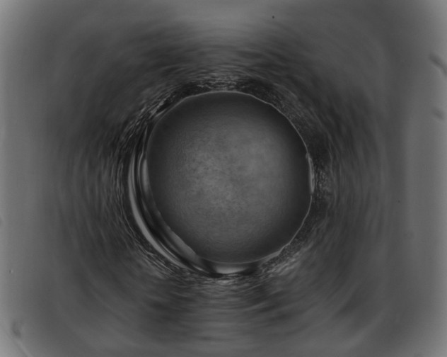 X0000093590818200710151202