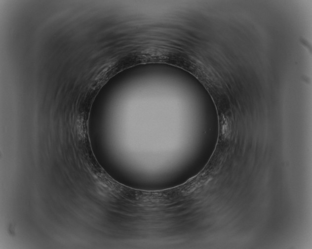 X0000093590819200710151202