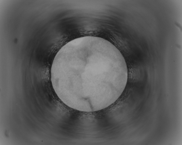 X0000093590820200710151202