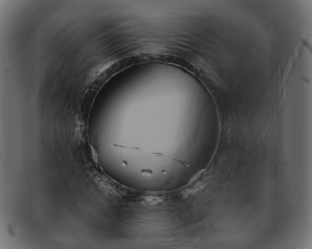 X0000093590822200710151202