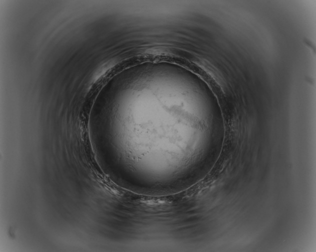 X0000093590823200710151202