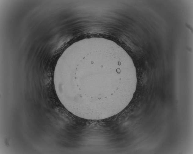 X0000093590824200710151202