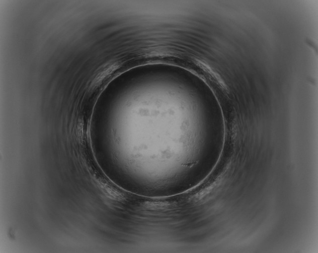 X0000093590825200710151202