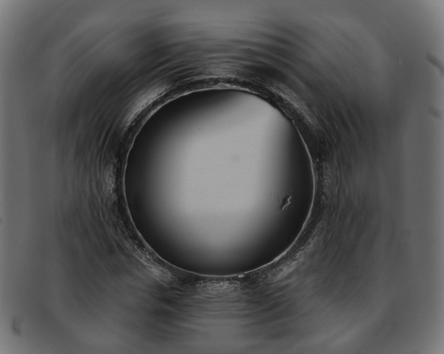 X0000093590826200710151202
