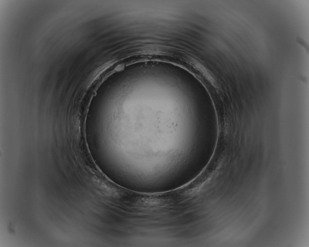 X0000093590829200710151202