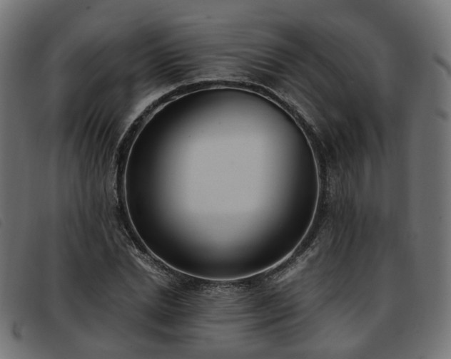 X0000093590830200710151202