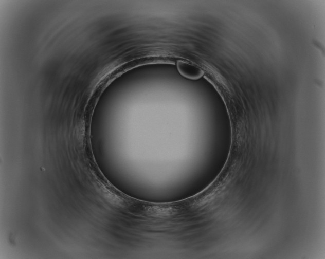 X0000093590831200710151202