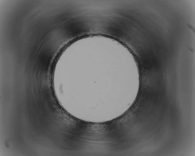 X0000093590832200710151202