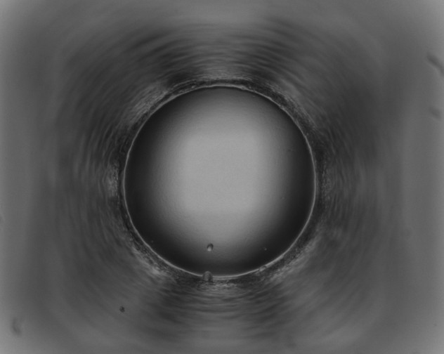 X0000093590833200710151202