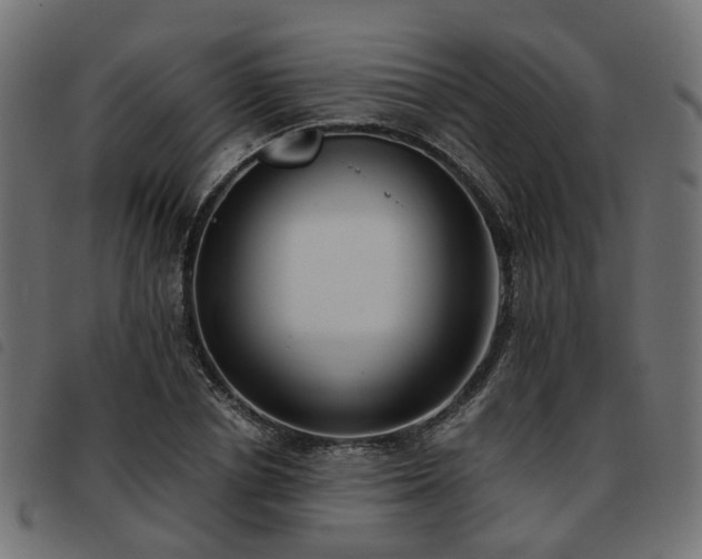 X0000093590834200710151202