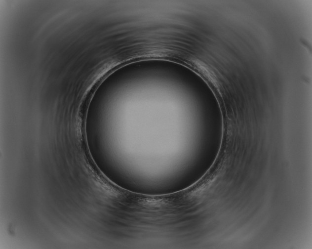X0000093590835200710151202
