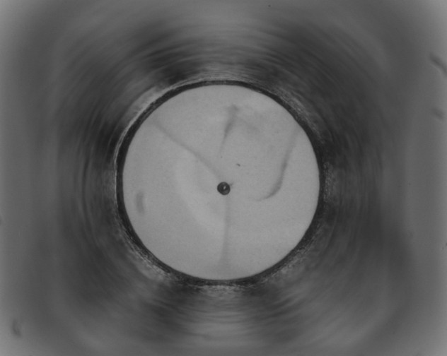 X0000093590836200710151202